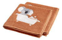 Dreambee Serviette Kai rouille Lg 50 x L 100 cm - 2 pièces