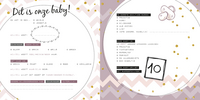 Babydagboek Baby's eerste jaar: van de eerste dag tot de eerste verjaardag-Artikeldetail