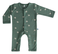 Dreambee Pyjama Flo groen maat 74/maat 80