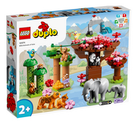LEGO DUPLO 10974 Animaux sauvages d'Asie-Côté gauche