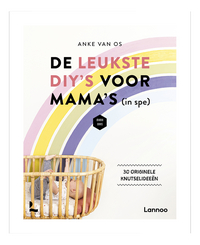 Boek De leukste DIY's voor mama's (in spe)
