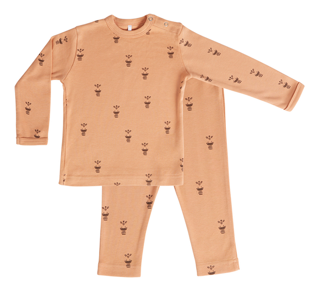 Dreambee 2-delige pyjama Flo terracotta maat 98