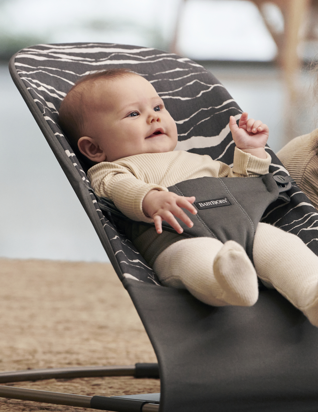 Babybjorn discount relax bliss